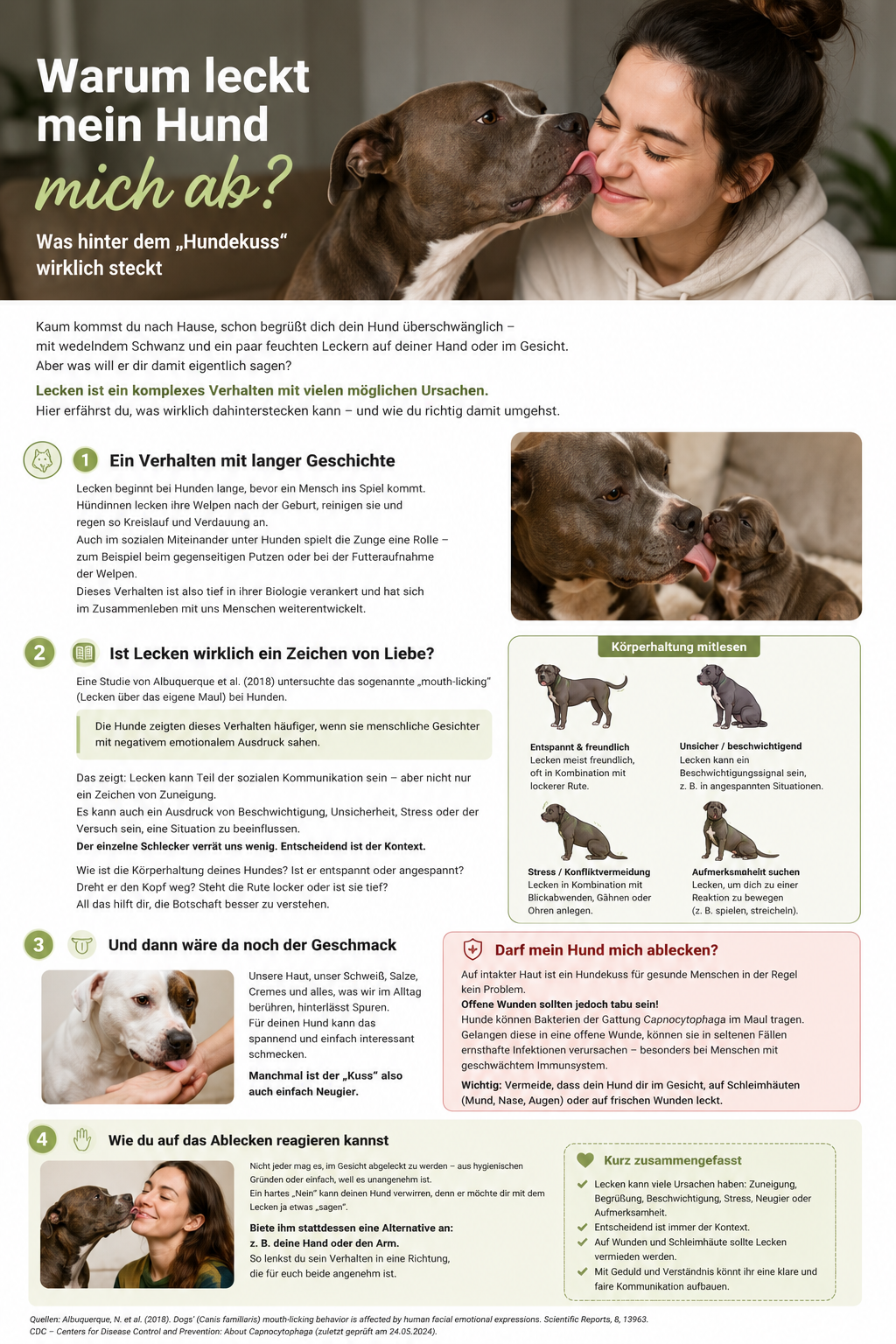 American-Staffordshire-Terrier-Typ leckt eine vertraute Person;visuelle Einordnung möglicher Gründe fürLeckverhalten.
