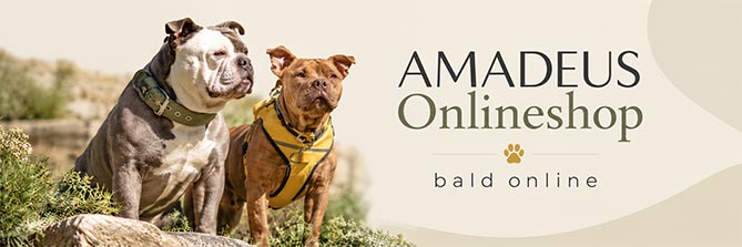 Amadeus online shop – coming soon